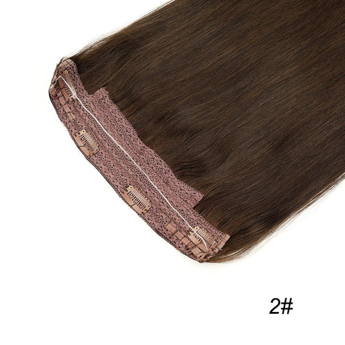 Remy Human Hair Clip Hair Extensions